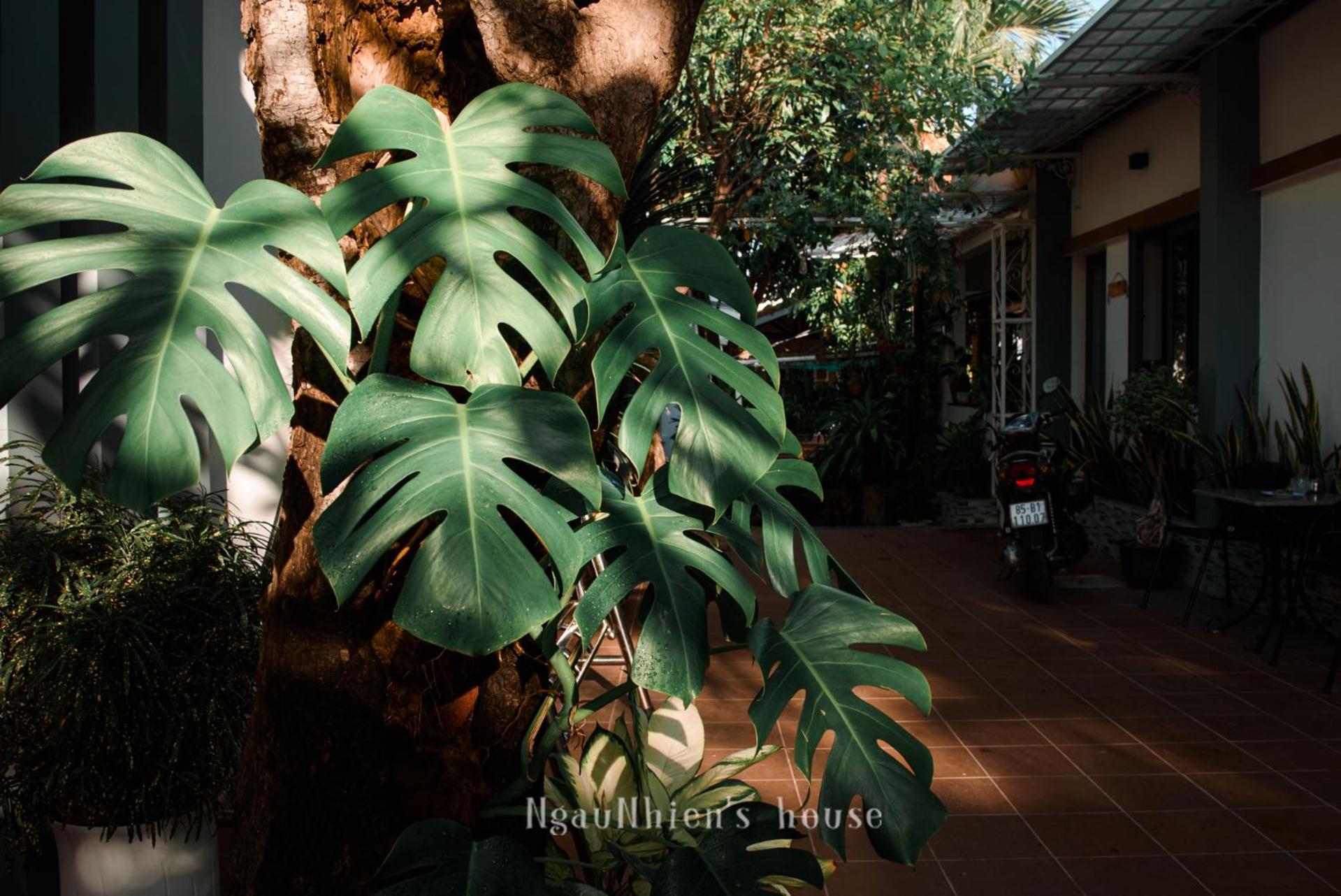 Ngaunhien'S House - Homestay Phan Rang Eksteriør bilde